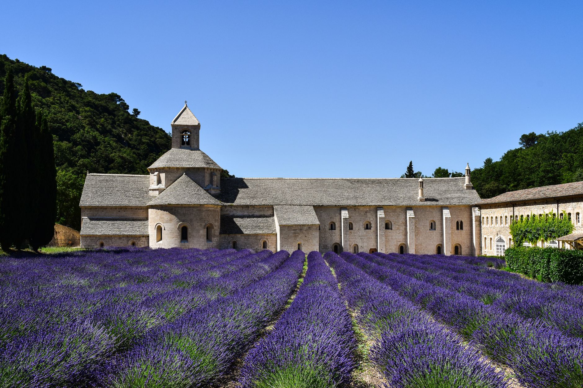 Beautiful lavender fields in full bloom at the historic Abbaye de Sénanque in Provence, France. (Pexels, AXP Photography)